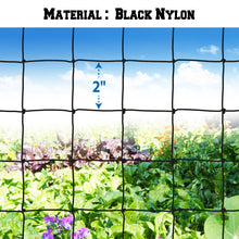 Load image into Gallery viewer, Black Netting Mesh For protecting garden fruits from Bird Poultry
