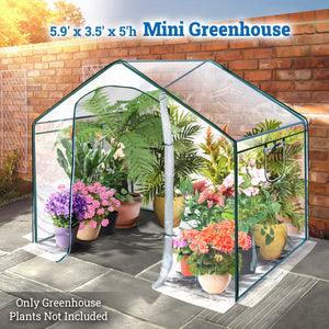 Mini Greenhouse Plant Flower Garden Portable Green Hous with 2 Windows 5.9' x 3.5' x 5'