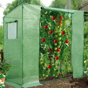 Tomato Green House Plant Outdoor Planting Greenhouse Gardening Warm Hot Garden