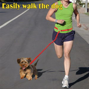 Hands Free Running Dog Leash Bungee Reflective Strip for Jogging Walking Hiking