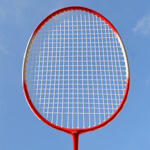 2 Pack Badminton Racquet Lightweight Badminton Set with Bag