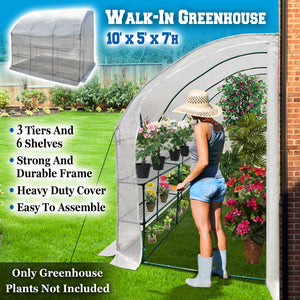 10x5x7'H w 3 Tiers/6 Shelves Gardening Large Walk-in Wall Greenhouse  (White )