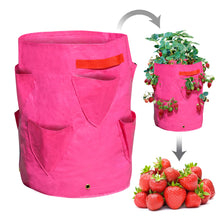 Load image into Gallery viewer, 4Pack Strawberry Grow Pots Plant Planter Bags Root Garden Container with Drainage
