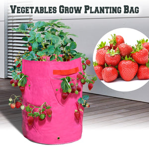 4Pack Strawberry Grow Pots Plant Planter Bags Root Garden Container with Drainage