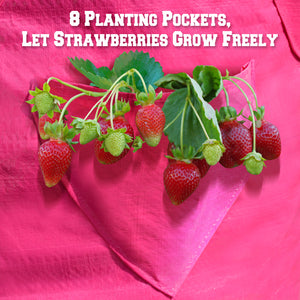 4Pack Strawberry Grow Pots Plant Planter Bags Root Garden Container with Drainage
