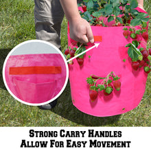 Load image into Gallery viewer, 4Pack Strawberry Grow Pots Plant Planter Bags Root Garden Container with Drainage
