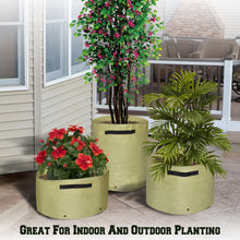 Load image into Gallery viewer, 3PC Garden Grow Bags Raised Bed Vegetables Plant Planter Tub Pots

