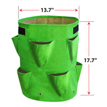 Load image into Gallery viewer, 11 Gallon Nonwoven Fabric Planting Grow Bags Pots

